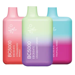 BUY 1 GET 1 FREE BC5000 Zero Nicotine Sampler Pack | Vape Collection
