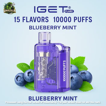 IGET Flare B10000 Double Apple USB-C Rechargeable Vape Pen